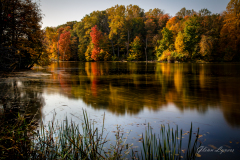 Potato-Creek
